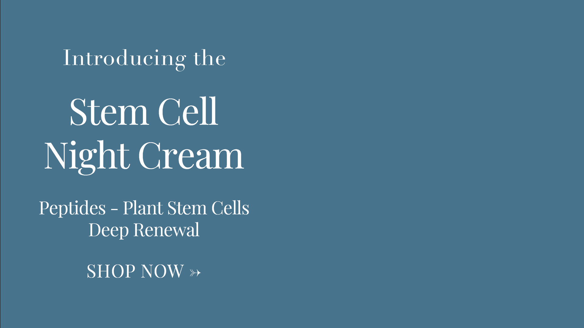 Stem-Cell-Night-Cream