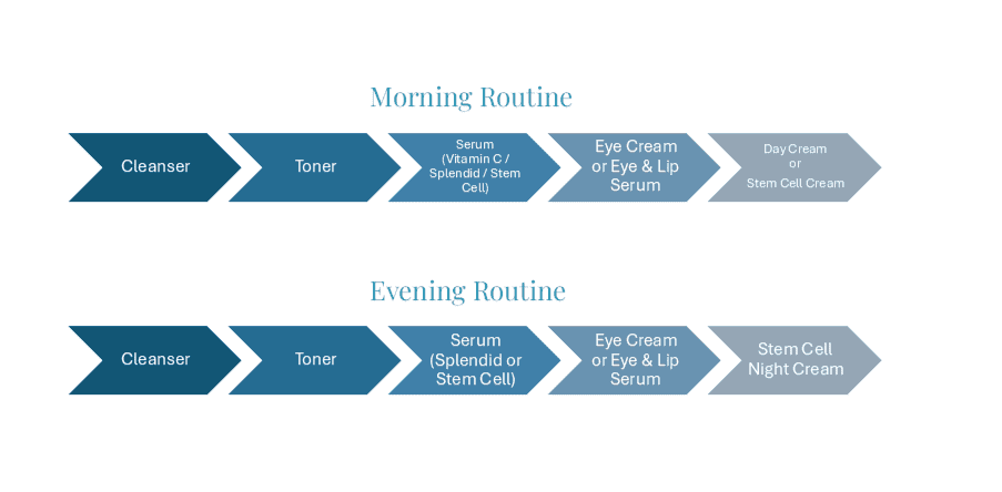 Anti-Aging Protocol Flow